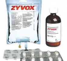 Antibiotik "Zivox": upute za uporabu, analozi
