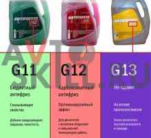 Antifriz G11 i G12: razlika i tehničke karakteristike antifriza G11 i G12
