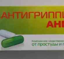 "Antigrippin-Anvi": upute za uporabu. "Antigrippin-Anvi": recenzije i…