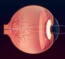 Pomoćni uređaji za oči: struktura i funkcije
