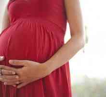Kikirikija tijekom trudnoće: korist i štetu