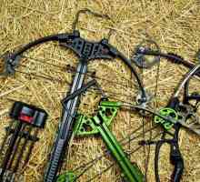 Crossbows za lov kako odabrati? Lov lica i njegove prednosti