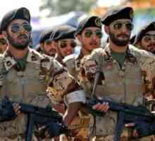 Iranska vojska: povijest i modernost