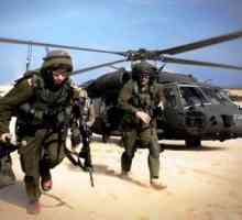 Vojska Izraela. Oružane snage države