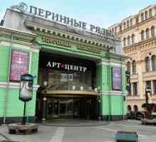 Umjetnički centar u Perinnye ryadakh: adresa. Izložbene dvorane u Saint-Petersburgu