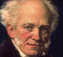 Arthur Schopenhauer. Izreke o putu i životu čovjeka