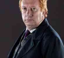 Arthur Weasley je duhovni instruktor Harryja Pottera. Glumac koji je svirao Arthur Weasley