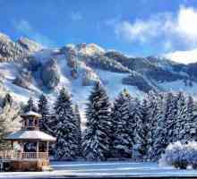 Aspen ski resort SAD: pregled, postignuća i recenzije turista