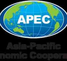 АТЭС - расшифровка. Азиатско-Тихоокеанское экономическое сотрудничество: список стран