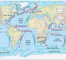 Atlantski ocean: struje i njihova svojstva
