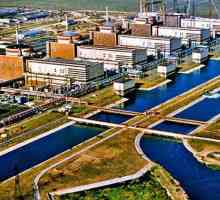 Nuklearna energija: najveća ruska nuklearna elektrana