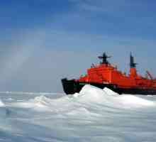 Atomic icebreaker `Arctic`: opis i fotografija. Moderni icebreakers klase…