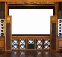 Audio sustavi za kuću: specifikacije, izbor, instalacija, recenzije