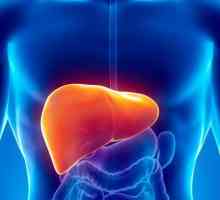 Autoimuni hepatitis: uzroci, simptomi i liječenje