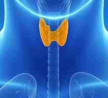 Autoimuni tiroiditis. Najstrašnija stvar. Što očekivati? Znakovi i simptomi