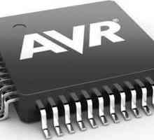 AVR programiranje. Programiranje AVR mikrokontrolera za početnike