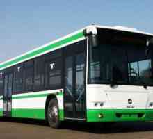 Autobus GOLAZ 5251, 6228: specifikacije i fotografije