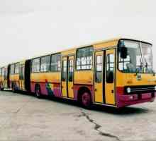 Iqarus-293 ​​bus: specifikacije i fotografije