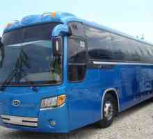 Kia-Grandbird autobus: specifikacije