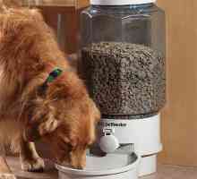 Automatski feedovi za pse: značajke uređaja i operacija. Kako sami uvesti hranilicu?