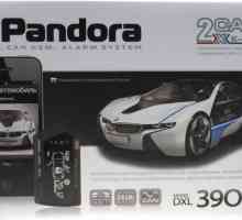 Dvosmjerni alarm za automobil Pandora DXL-3900: pregled, opis, specifikacije, upute i recenzije