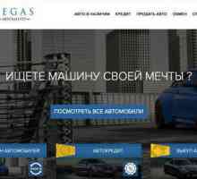 Pegasus Motor Show, Moskva: recenzije kupaca