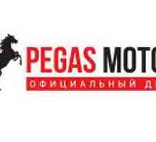 Pegas Motors Motor Show: recenzije