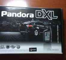 Alarm za automobil Pandora DXL 3000: opis, priručnik, recenzije