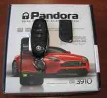 Alarm za automobil Pandora DXL 3910: instalacija i recenzije
