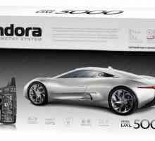 Auto alarm `Pandora DXL 5000`: opis, značajke, instalacija i recenzije