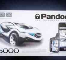 Alarm za automobil Pandora DXL 5000 Pro: opis i instalacija