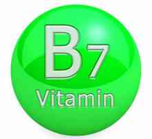 B7 (vitamin): korisna svojstva koja sadrže i primjenjuju značajke