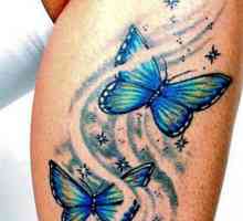 Tetovaža leptira na nozi djevojke: vrijednost i fotografija