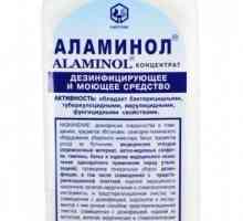 Baktericidni sredstvo za čišćenje "Alaminol": upute za uporabu