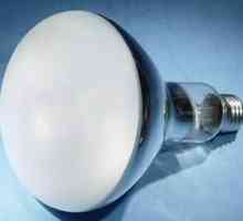 Baktericidne svjetiljke za dom - zalog čistoće i zdravlja