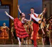 Balet `Don Quijote`: sažetak, recenzije