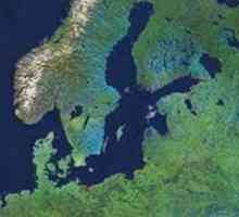 Baltički štit: oblik reljefa, tektonska struktura i minerali