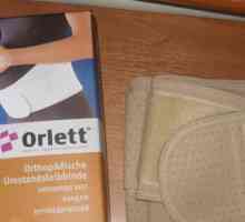 Bandages`Orlett`: vrste i značajke modela