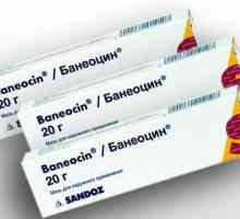 "Baneocin": analozi. `Baneotsin`: primjena, povratna informacija, nego…
