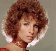 Barbara Streisand: filmografija velikog pjevača i glumice. Filmovi s Barbare Streisand