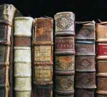 Barokna književnost - što je to? Stilističke značajke barokne književnosti. Barokna književnost u…