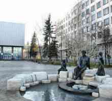 Državno pedagoško sveučilište u Baškiru nazvano po M. Akmulla: opis, specijaliteti i recenzije