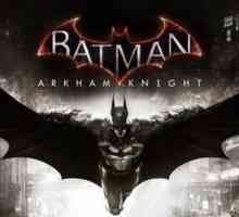 Batman: Arkham Knight. Optimizacija i zahtjevi sustava