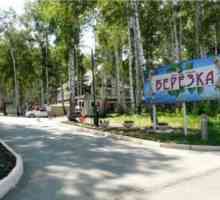 Holiday Village `Birch `(Uvildy, Chelyabinsk regija) - fotografije i recenzije