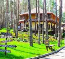 Rekreacijski centar `Don Forest`, područje Lipetsk: fotografije i recenzije