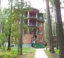 Holiday Village `Mliječni put `(Novosibirsk): opis, mišljenja
