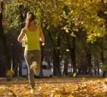 Бег для похудения: сколько нужно бегать? Составить программу тренировок