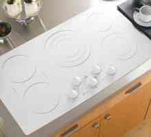 Bijela indukcijska ploča za kuhanje: pregled, proizvođači i recenzije