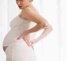 Trudnoća 40 tjedana: krutost želuca. Uzroci hipertenzije maternice