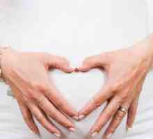 Trudnoća blizanaca: značajke, znakovi, razvoj